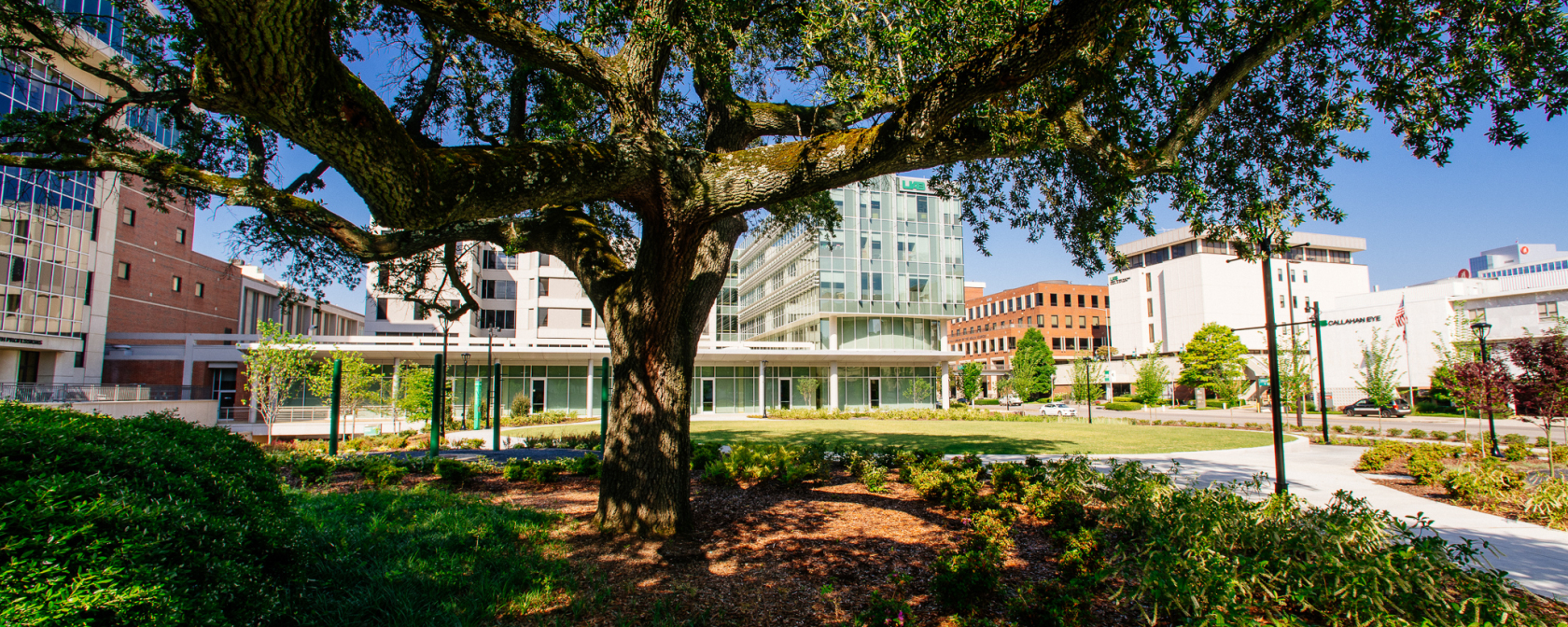 Education Programs Banner